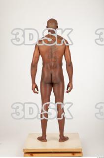 Body texture of Virgil 0021